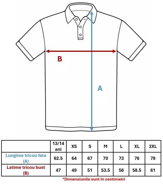 Tricou Polo Colegiul Național „Alexandru Vlahuță”